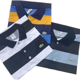 Polos de listra variadas