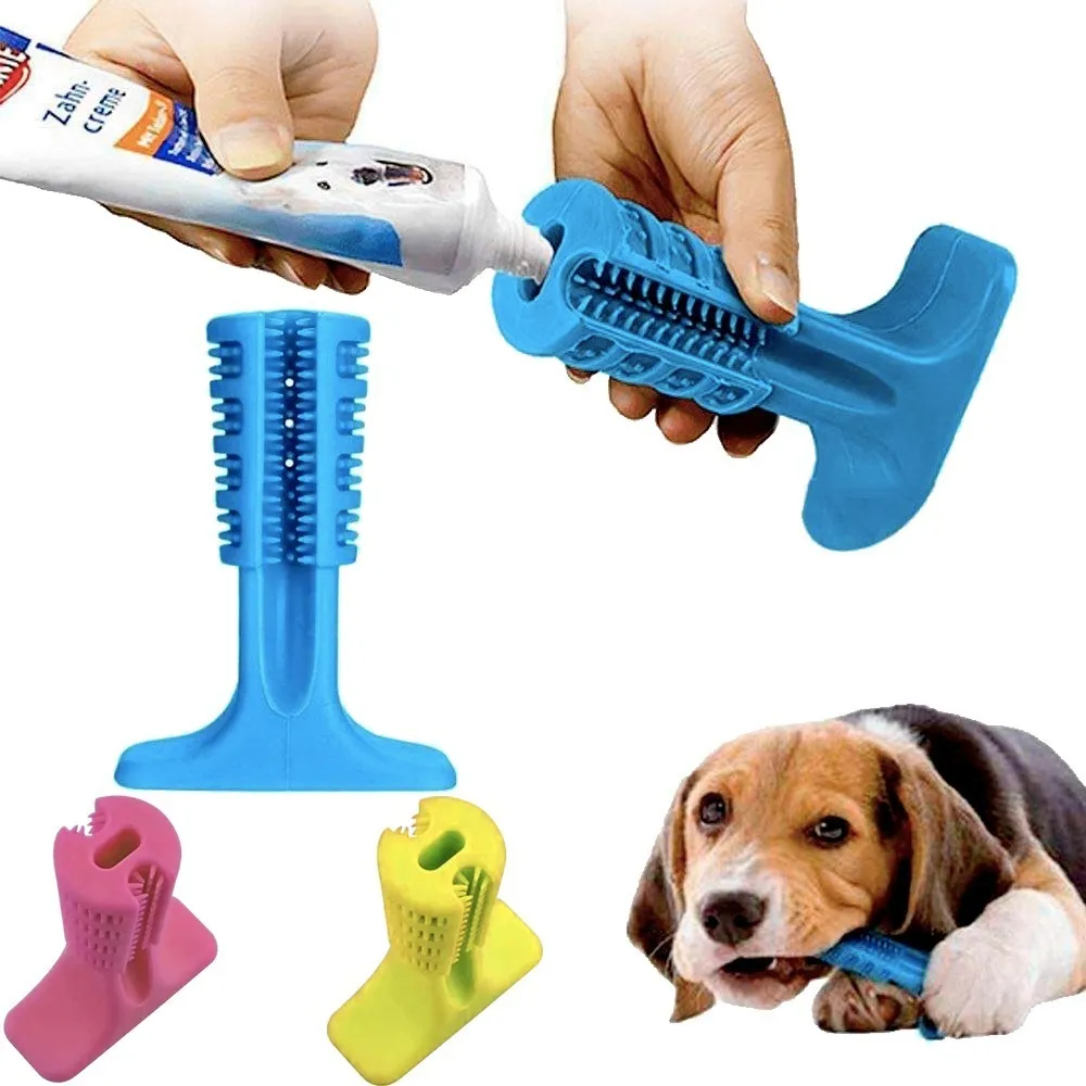 Mordedor Escova Dental de Cachorro Cão Porta Petisco Brinquedo Pet Sortido