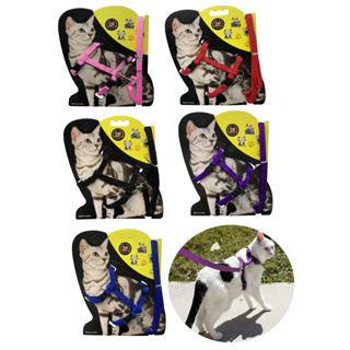 Coleira Com Peitoral e Guia Para Gato Cachorro De Pequeno Porte Pet Passeio LR-0163 em Oferta na Shopee