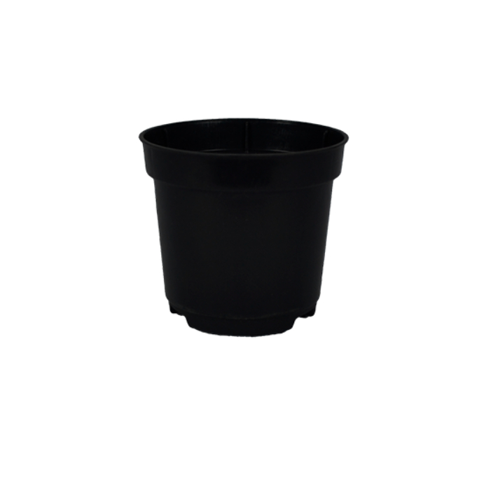 Mini vaso de planta - Vaso pote 6 - kit com 10 unidades para decoração - kit vasos suculentas