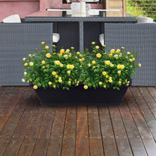 Vaso Jardineira Floreira 46cm