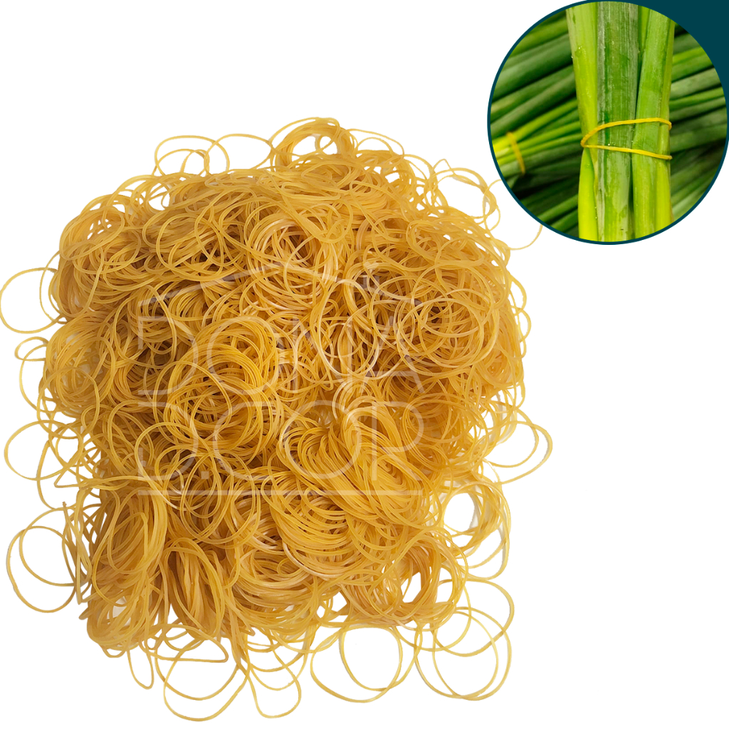 Elastico Silicone Amarrar Verdura 32x09mm 500g Borrachinha Sem Látex Resistente Escritório Papelaria em Oferta na Shopee