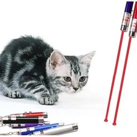 Laser point lanterna 3 em 1 Laser para gato em Oferta na Shopee