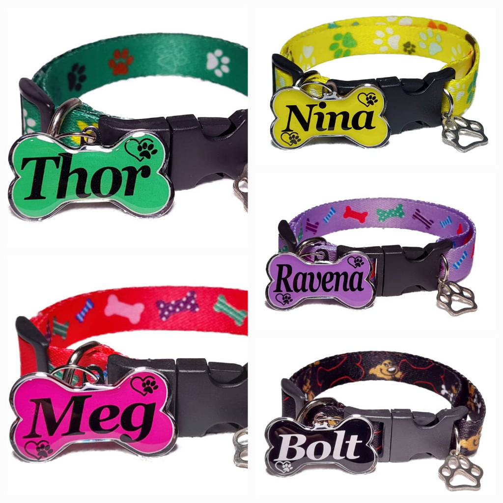 Coleira e Plaquinha de Identificação para pets cães cachorros em Oferta na Shopee