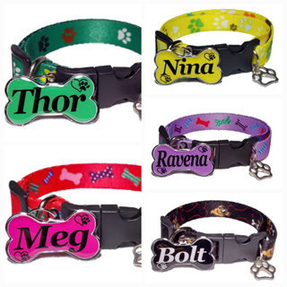 Coleira e Plaquinha de Identificação para pets cães cachorros em Oferta na Shopee