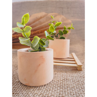 01 ou 02 Vasinhos de Cimento/Gesso Rústico - Para Suculentas ou Velas - Vaso, Decoração em Oferta na Shopee