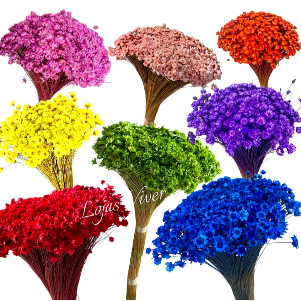 300 Sempre Viva FLORZINHAS Buquê Mosquitinhos. em Oferta na Shopee