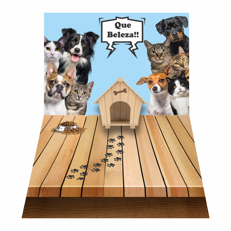 Câmera Famosa: Guia Completo e Onde Comprar | BuscaProdutos