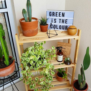 Organizadora Jardim Estante 3 Prateleiras Vasos De Planta Rack Armário Gabinete