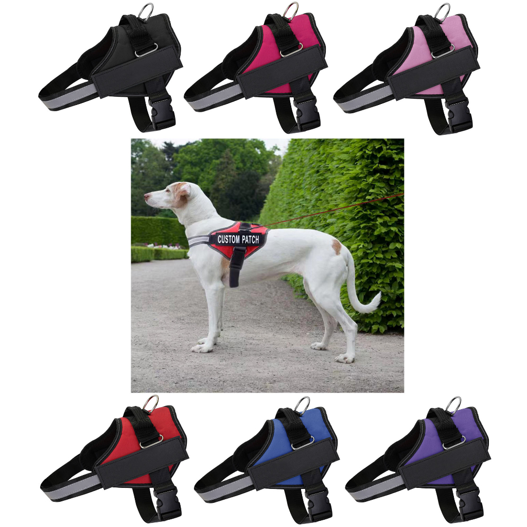 Peitoral Coleira Com Regulagem Faixa Refletiva Cachorro Pet Grande Médio Porte Pesseio Segurança LR-0191