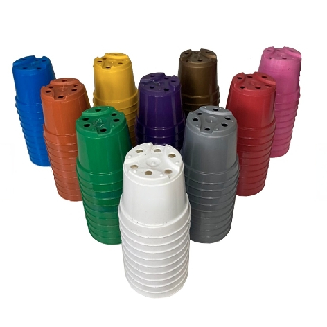 120 Vasos Pote 6 Plástico Muda 80ml Suculentas Cactos COLORIDO