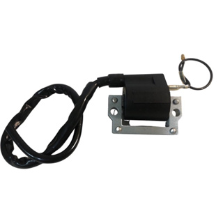 Bobina Ignição Dt180/Rd125/Rd135/Tdr180/Rx180 em Oferta na Shopee