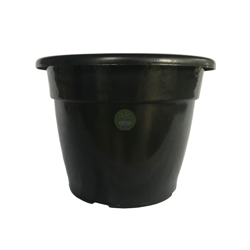 15 Vasos Pote 24 de 5 Litros Preto - Rosa do Deserto Flores Frutas em Oferta na Shopee