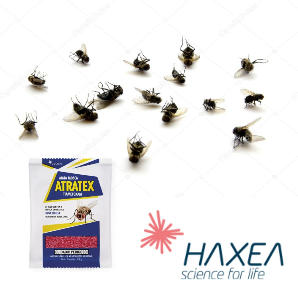 Mosquicida Granulado Atratex G Mata Mosca 25g Elimina Todas Rápido, Casa, Cozinha, Jardim