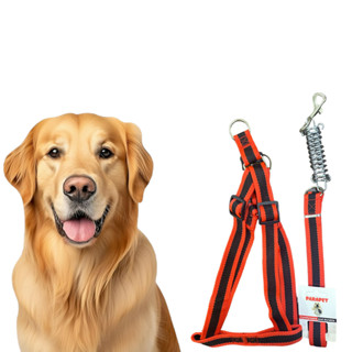 Coleira Para Cachorro Peitoral Guia Pitbull Golden Com Fita Dupla e com Amortecedor em Oferta na Shopee