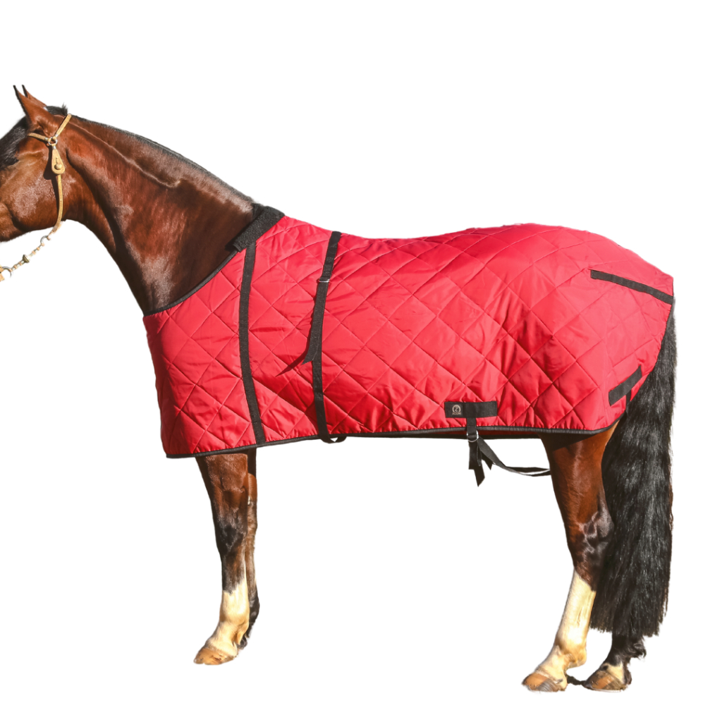 Capa de Inverno Vermelha Premium para Cavalos São Pedro