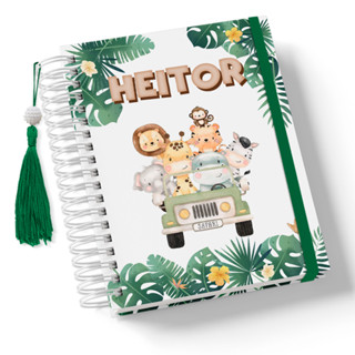 Caderneta de Saúde/Vacina - Menino - Capa Dura - Personalizada - Vários Temas