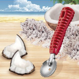 Ralador de Coco Seco Raspador Manual de Inox com Cabo Plástico Ideal para  cocadas, tapiocas, bolos e muito mais 18 cm