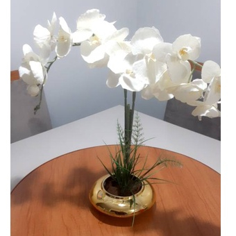 VASO EQUIBANA DISCO DE PLÁSTICO Para Arranjos de Flores Decoração Casa Ambiente em Oferta na Shopee