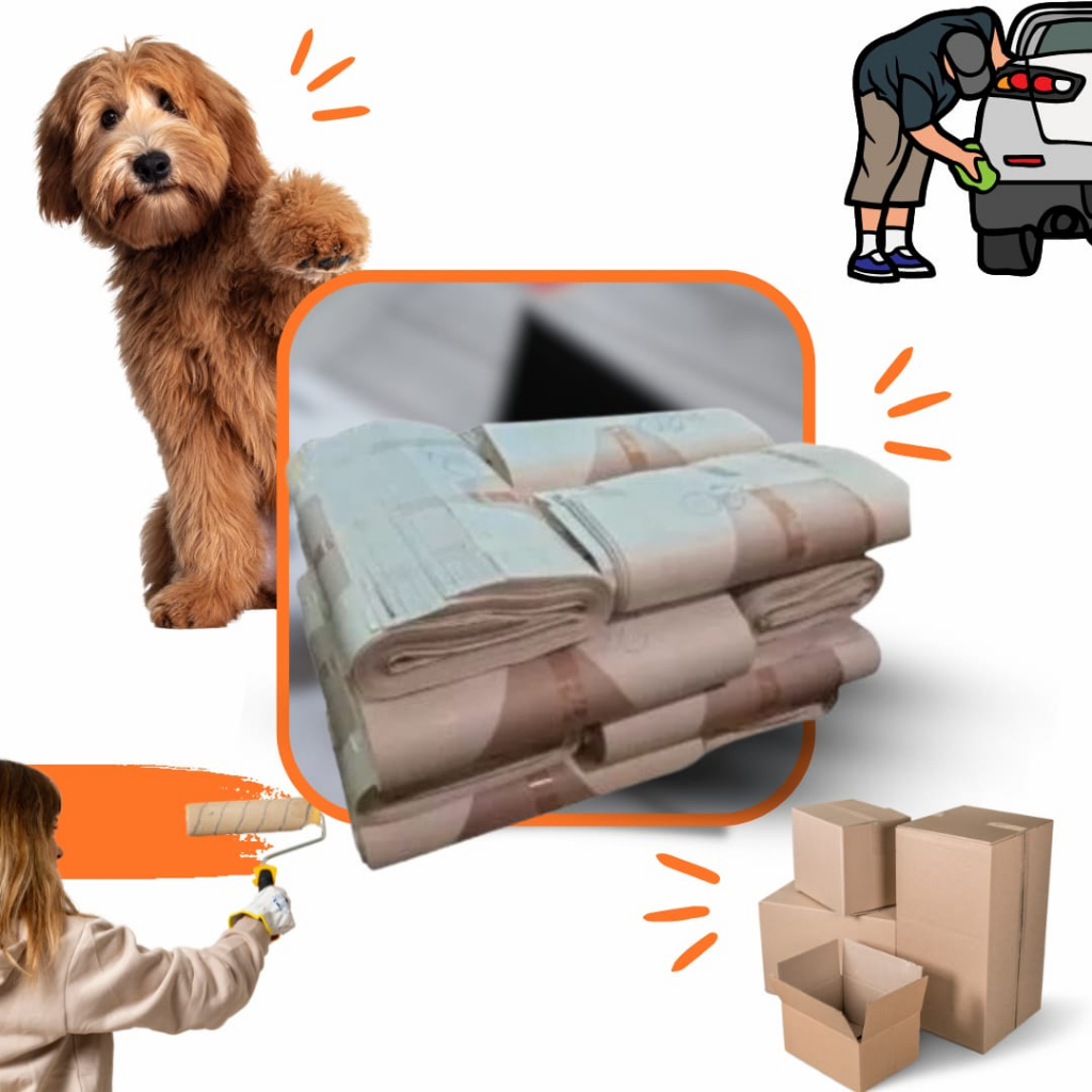 Papel "Jornal" Tapete Pet Embrulho 5 kg FOLHAS GIGANTES  Fardo Manilha Strong Estampado