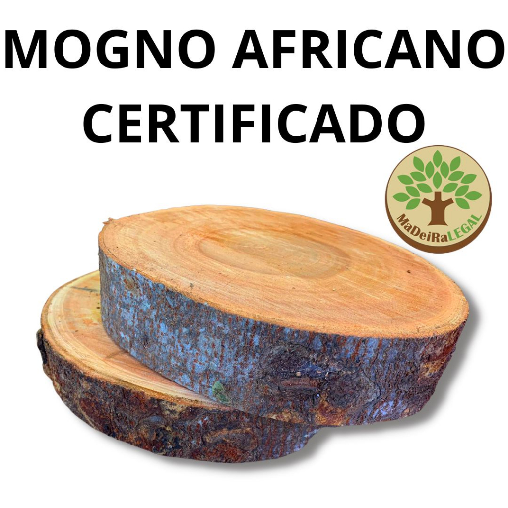 Bolacha Decorativa Rústica Natural Tronco de Mogno Africano