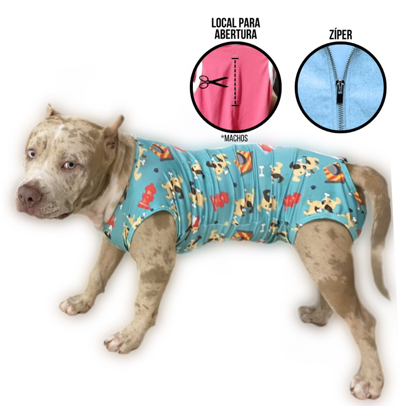 Roupa Pós Cirúrgica Para Cachorro - Cirurgia de Pet - Com proteção UV em Oferta na Shopee