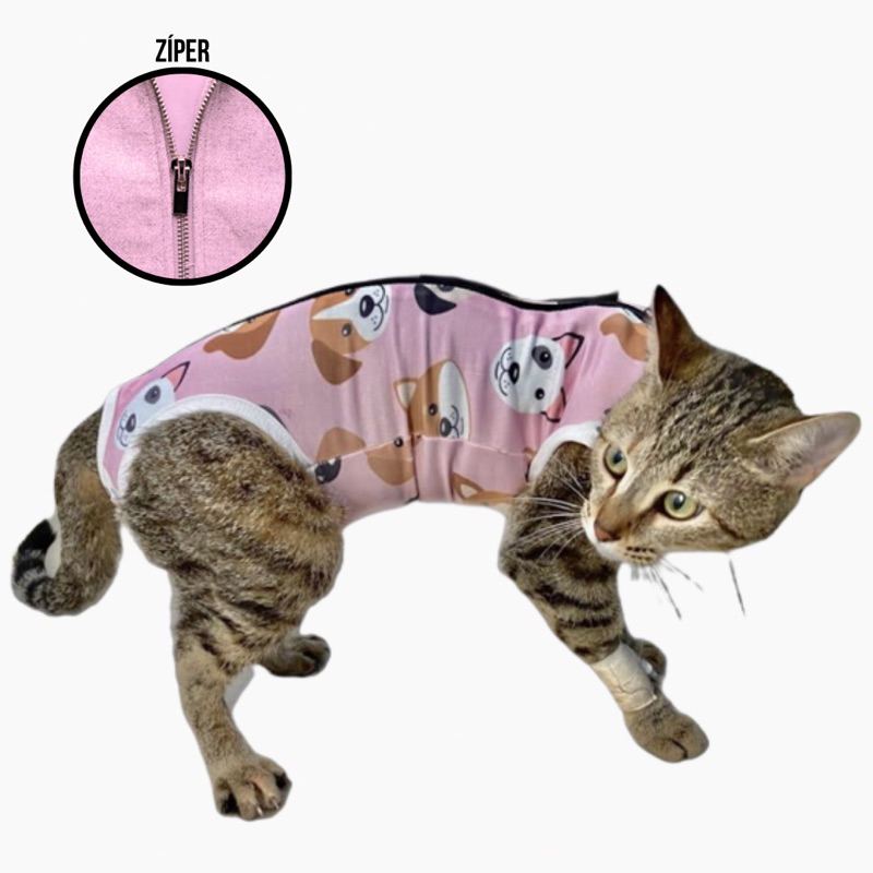 Roupa Gato Pós Cirúrgica Castração