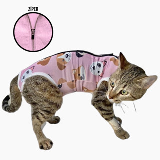 Roupa Gato Pós Cirúrgica Castração em Oferta na Shopee