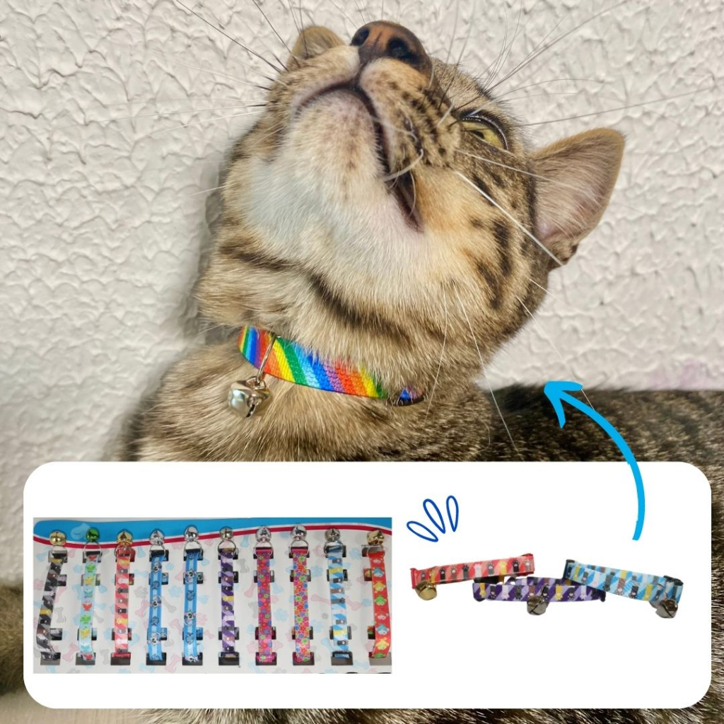 Coleira para Gato Gaby Pet Cartela Elástico Simples- Unidade ou Cartela com 10 (Cores e estampas Sortidas)