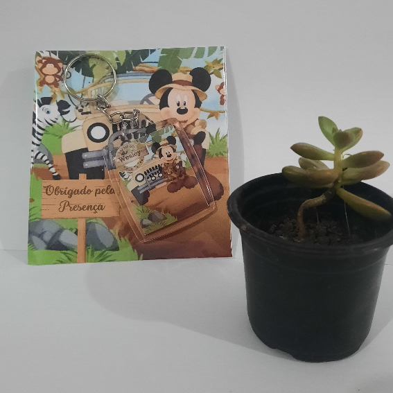 15 chaveiros 3/4 personalizados com tag, aniversario, cha de bebê, nascimento, casamento, maternidade, lembrancinhas personalizadas, lembrancinha, brindes, congressos, festa infsntil, festa.