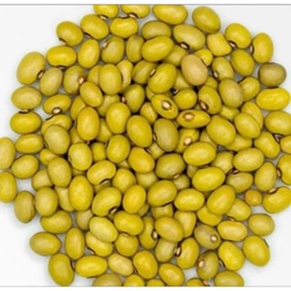 Feijão Bolinha Amarelo 1.Kg
