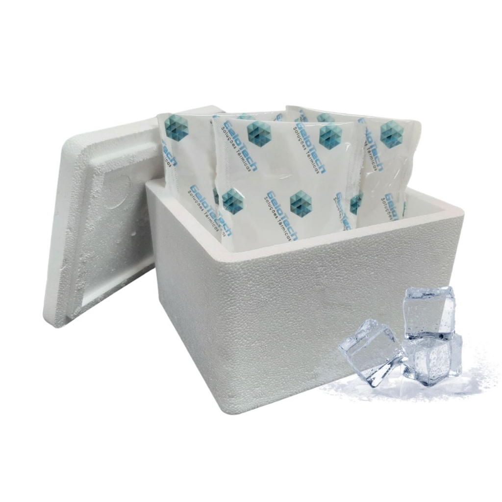 Kit Caixa Isopor 1L Transporte Vacina Insulina 3 Gelos Flexíveis
