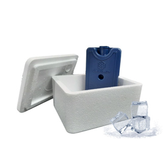 Kit Caixa Isopor 500ml Transporte Vacina Insulina 1 Gelo Rígido em Oferta na Shopee