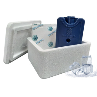 Kit Caixa Isopor 500ml Transporte Vacina Insulina 1 Gelo Rígido e 1 Flexível em Oferta na Shopee