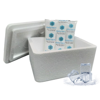 Kit Caixa Isopor 500ml Transporte Vacina Insulina 3 Gelos Flexíveis 45g em Oferta na Shopee