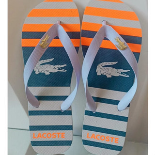 Chinelo Adulto Masculino Estampas Variadas Lançamento
