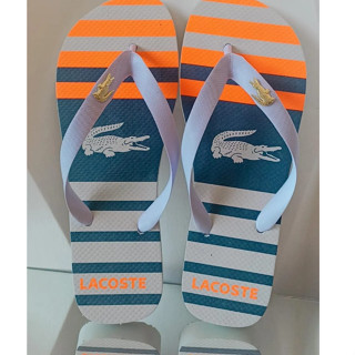 Chinelos masculino Adulto Estampas Variadas Promoção