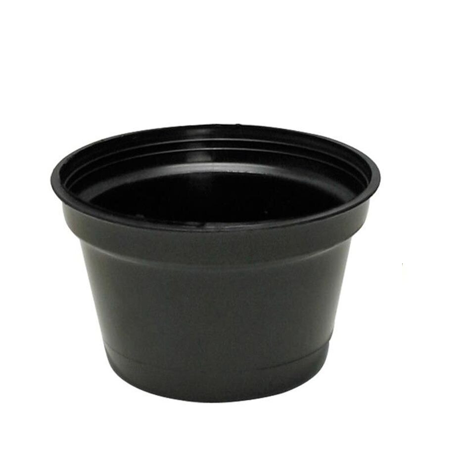 Vaso Plástico Pequeno Redondo Preto 10x06 Para Plantas Ornamentais Suculentas