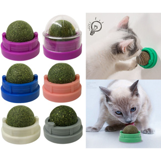 Brinquedo Bola com Catnip Cola na Parede Chão Erva de Gato Natural Melhora Hálito LR-0185 em Oferta na Shopee