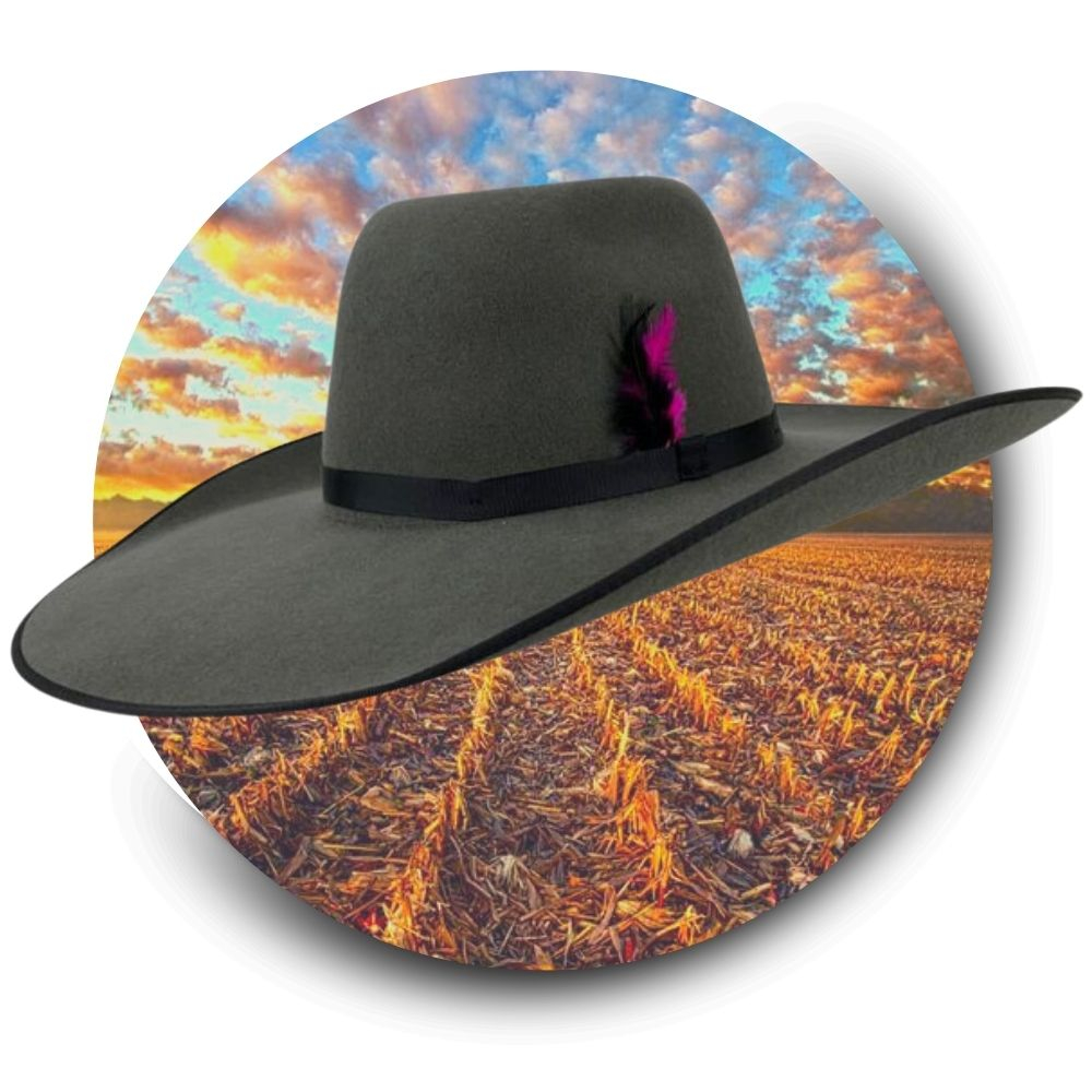Chapéu Country Feminino Original Pralana Champion Extreme Cinza Fita de Tecido Pena Preta/Rosa | 100% Feltro Lã