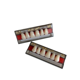 Dente acrílico Anterior Superior A25