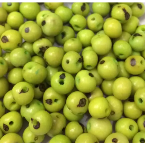MIÇANGA SEMENTE DE AÇAI VERDE 8MM PARA PESCA - 10 UNIDADES