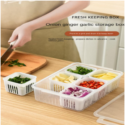 Caixa Organizadora com Divisórias – Conservação de Alimentos para Geladeira | Ideal para Temperos e Verduras em Oferta na Shopee