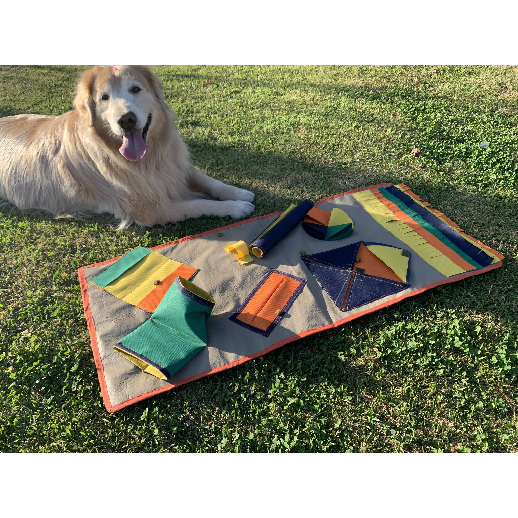 Brinquedos para Cachorro Ansioso: Onde Comprar | BuscaProdutos