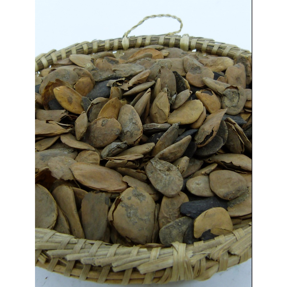 Fava de Aberê - Favas - Candomblé - Umbanda 03 Unds em Oferta na Shopee