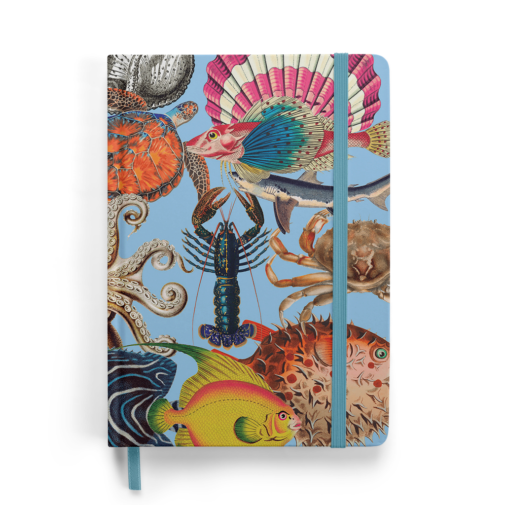 Caderno Sketchbook Vida Marinha Capa dura A5 – Liso, Pautado, Pontilhado e  Quadriculado