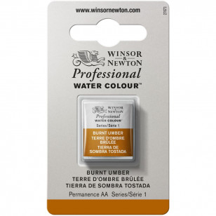 Tinta Aquarela Winsor & Newton Profissional Pastilha S1 076 Burnt Umber