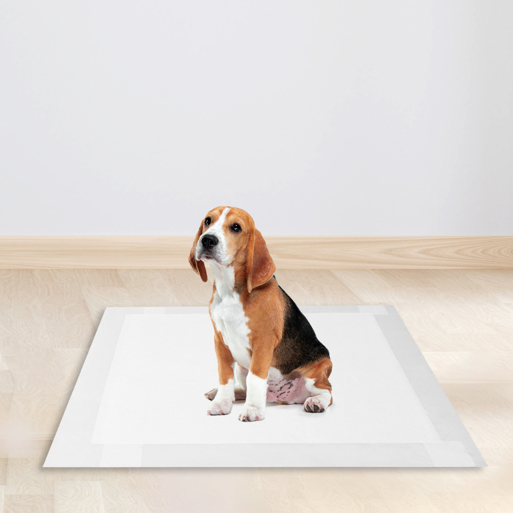 Detalhes do Tapete Higienico Pet Good Pads 80x60 com com 60 Unidades