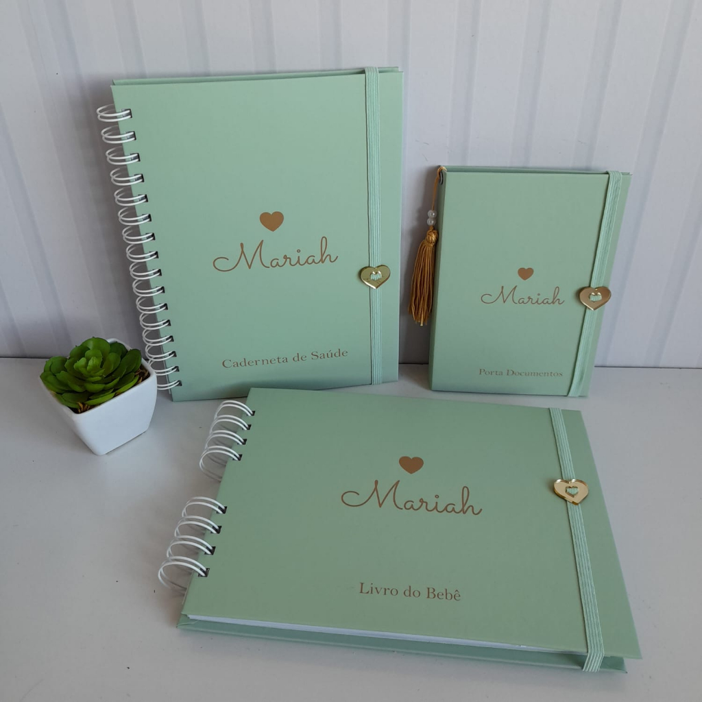 Kit Livro do Bebê A5 + Porta Documentos + Caderneta de Vacina Minimalista