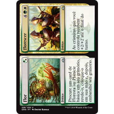 Flor // Florescer - Magic The Gathering